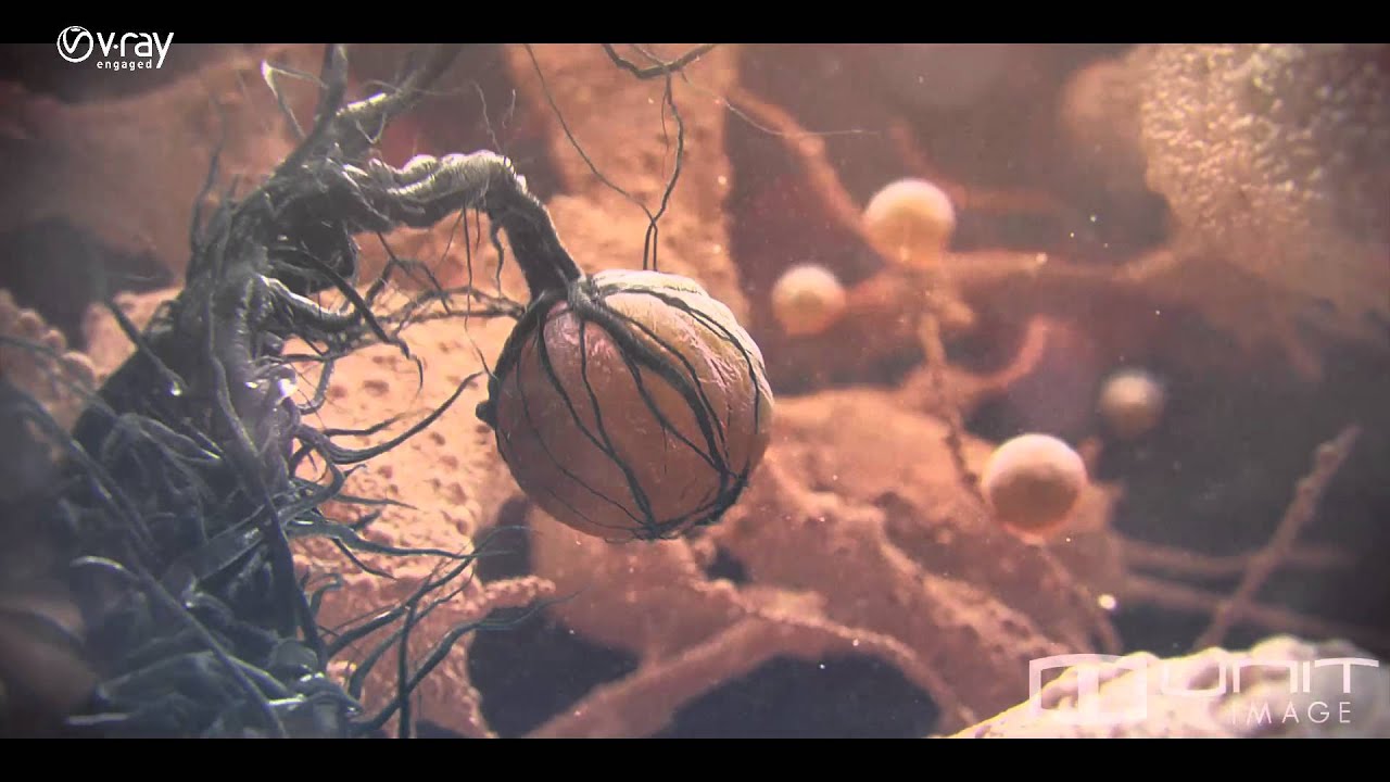 Vray Visual Fx 2012 Reel