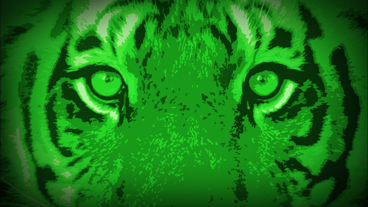 Life After Pi – A Rhythm & Hues Documentary Film (Full)