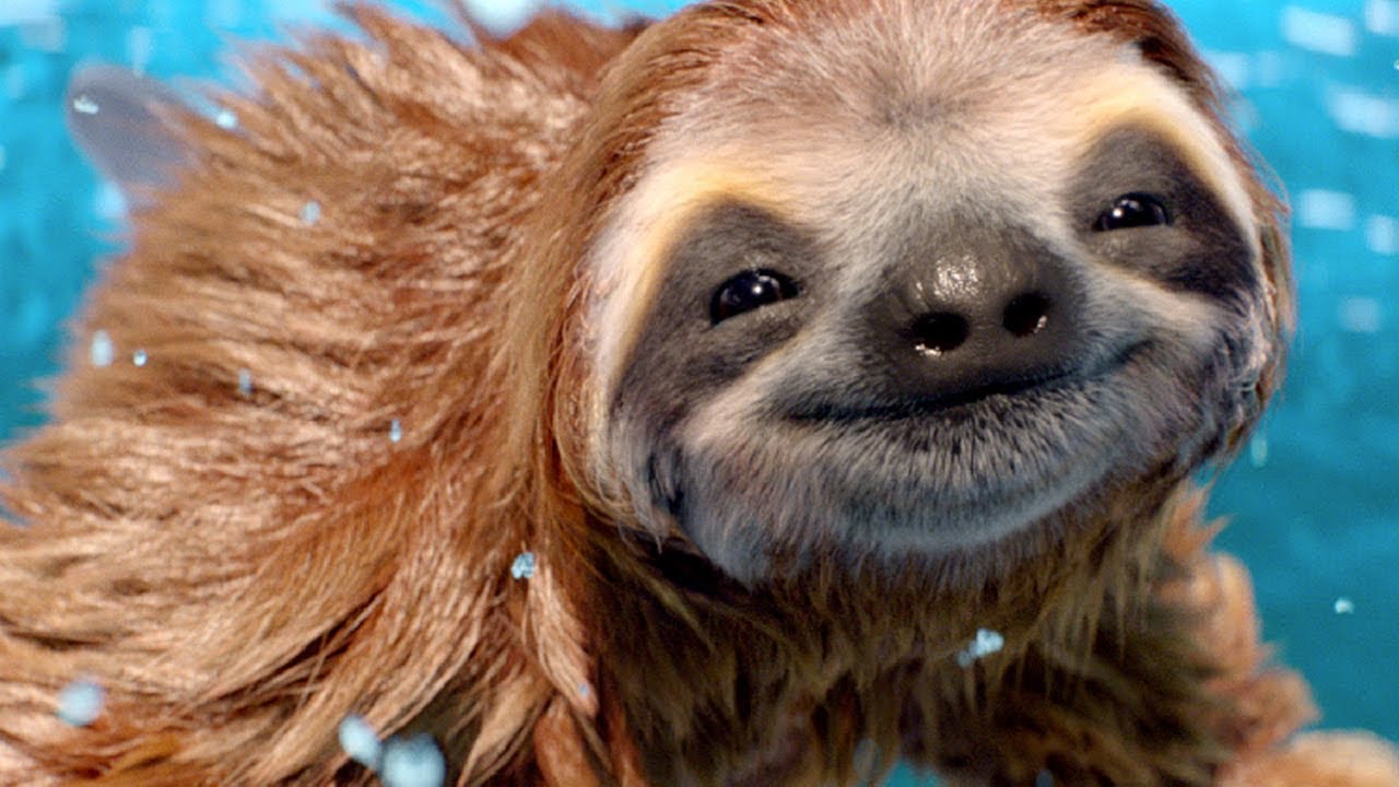 The Mill: Animals and Creatures Sizzle Reel