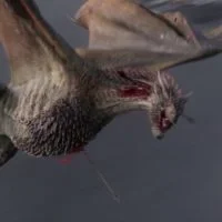 Before and After VFX The Making of Game of Thrones Season 9
